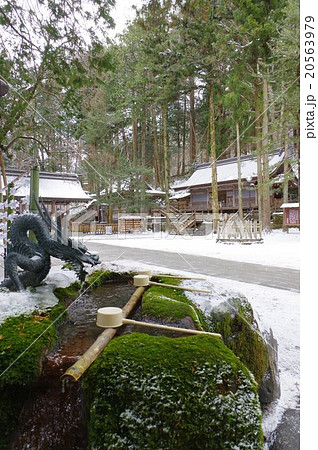信州　諏訪　諏訪大社　諏訪神社の総本山　上社本宮　境内の光景 20563979
