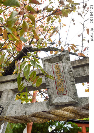 祇園白川 辰巳大明神 祇園白川 辰巳大明神 20564425