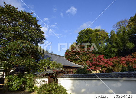 月真院（月眞院） 20564429