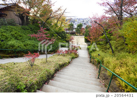 高台寺公園 20564431