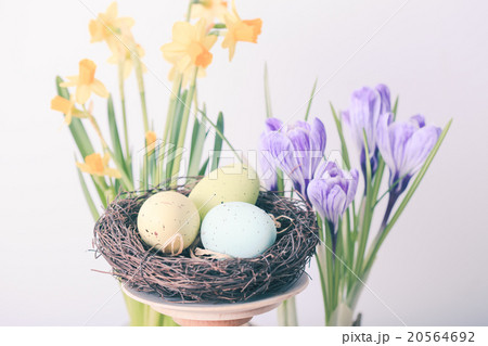 The Easter decorations 20564692