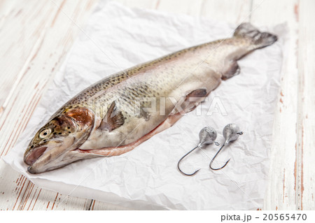 Fresh trout on white wood 20565470