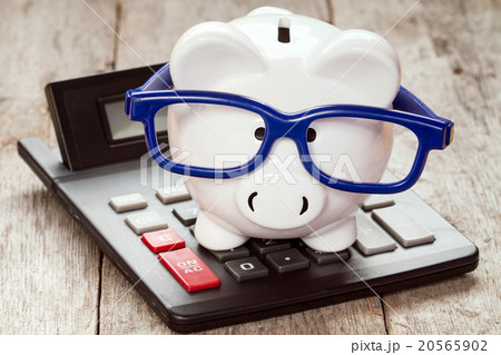 Piggy bank in glasses with calculator Piggy bank in glasses with calculator 20565902