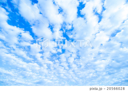 積雲　高積雲か層積雲　冬の空　一般的な空と雲　白い雲と青い空　背景素材　コピースペース　文字スペース 20566028