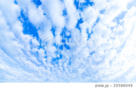 積雲　高積雲か層積雲　冬の空　パノラマ撮影　白い雲と青い空　背景素材　コピースペース　文字スペース 20566049