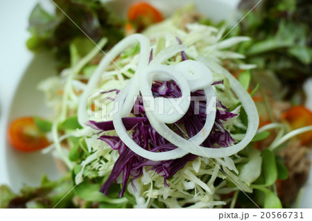 Close up of fresh vegetable salad. Close up of fresh vegetable salad. 20566731