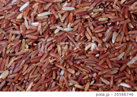 coarse rice or half polished rice background. coarse rice or half polished rice background. 20566746