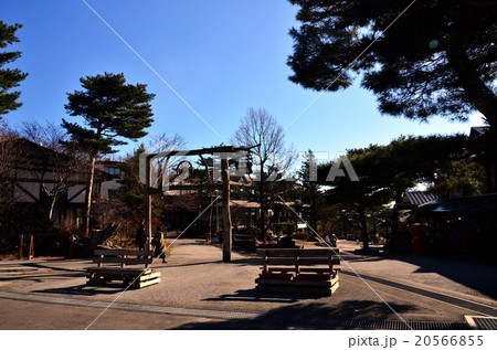 南ヶ丘牧場（栃木県） 20566855