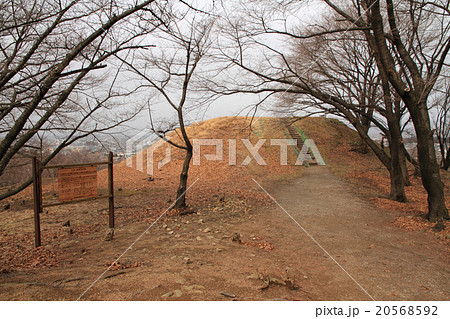 国史跡　弘法山古墳（南側史跡入口からの後方部墳丘） 20568592