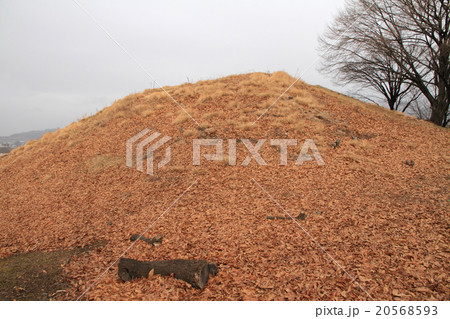 国史跡　弘法山古墳（南西からの後方部墳丘） 20568593