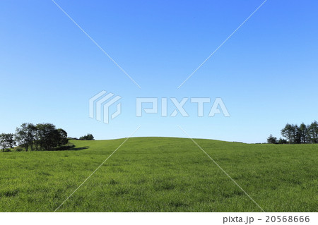 7月の青空と草原 北海道根釧台地の広大な夏景色 の写真素材