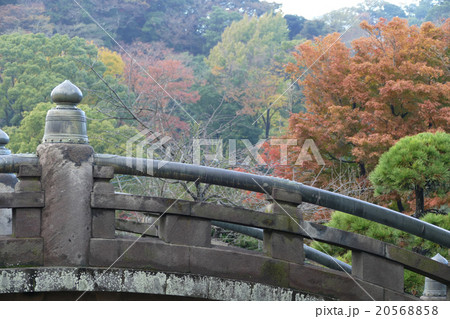 鎌倉　鶴岡八幡宮 20568858