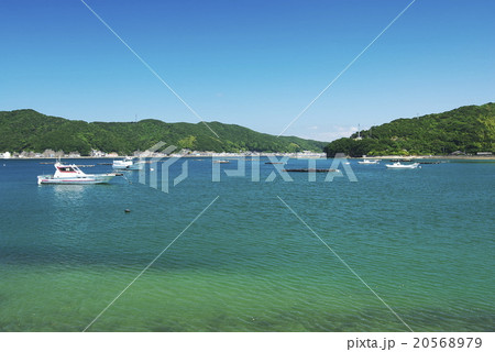 橘湾の蒼い海 20568979