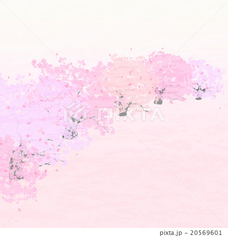 桜並木 背景 桜色 テクスチャのイラスト素材