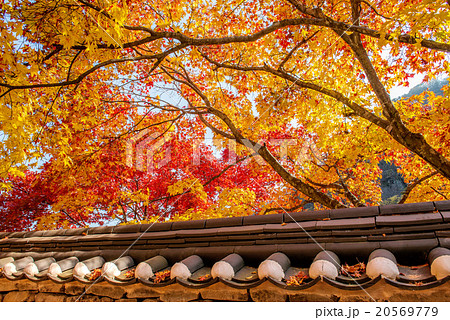 Roof of Gyeongbukgung in autumn in korea. Roof of Gyeongbukgung in autumn in korea. 20569779