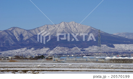 高社山とコハクチョウ 20570199