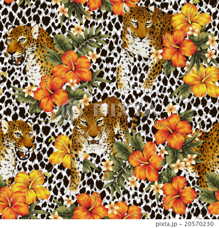 Hibiscus and leopard pattern 20570230