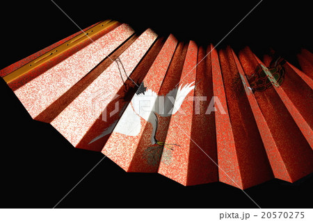 目出度い和風イメージ　鶴と亀の舞扇 20570275