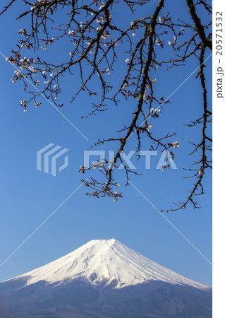 Mt. Fuji 20571532