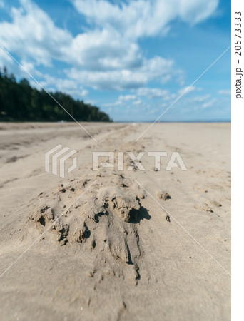 sand dunes sand dunes 20573333