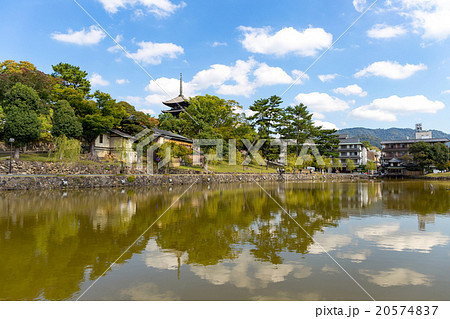 猿沢池と興福寺 猿沢池と興福寺 20574837