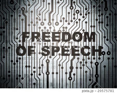 Political concept: circuit board with Freedom Of 20575781