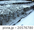 道端の雪 20576780