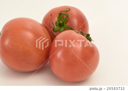 トマト 常緑野菜 トマト 常緑野菜 20583732