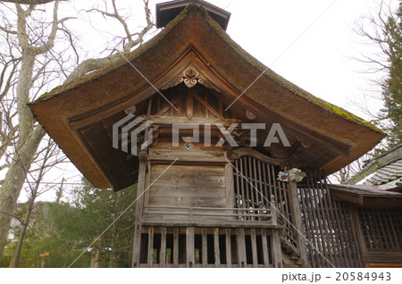 信州 松本の文化財 八坂神社本殿 側面 江戸時代の建築 珍しい萱葺きの本殿 市重要文化財 信州 松本の文化財 八坂神社本殿 側面 江戸時代の建築 珍しい萱葺きの本殿 市重要文化財 20584943