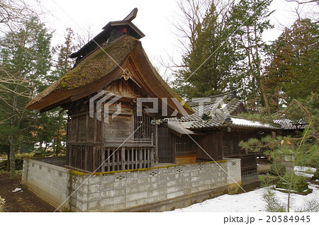 信州 松本の文化財 八坂神社本殿 全景 江戸時代の建築 珍しい萱葺きの本殿 市重要文化財 信州 松本の文化財 八坂神社本殿 全景 江戸時代の建築 珍しい萱葺きの本殿 市重要文化財 20584945