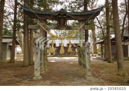 信州　松本の神社　八坂神社　横　江戸時代建築の本殿のある神社　市重要文化財指定 20585020