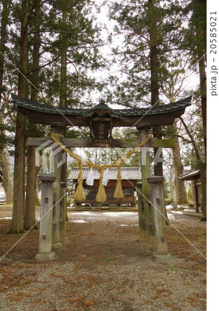 信州　松本の神社　八坂神社　縦　江戸時代建築の本殿のある神社　市重要文化財指定 20585021