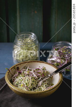 Fresh Sprouts salad Fresh Sprouts salad 20585804