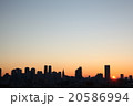 新宿の日の出 20586994