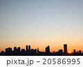 新宿の日の出 20586995
