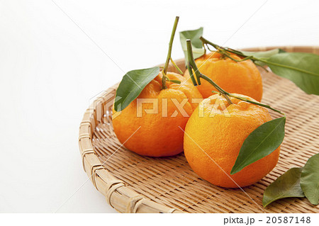 葉つきのポンカン三つ笊 20587148