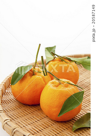 葉つきのポンカン三つざる 20587149