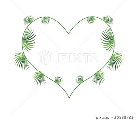 Lady Palm Leaves in A Heart Shape 20588733