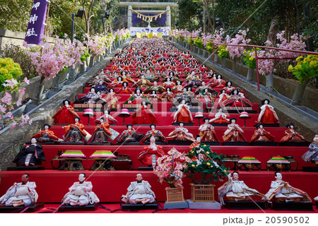 石段に飾られた遠見岬神社の雛祭り、房総勝浦、千葉県 石段に飾られた遠見岬神社の雛祭り、房総勝浦、千葉県 20590502