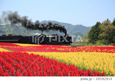 ローカル線 20592914