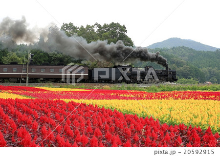 ローカル線 20592915