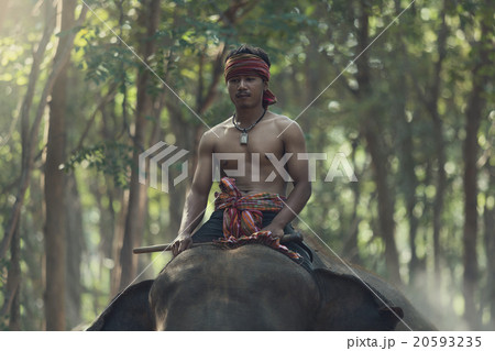Mahout riding on elephant back 20593235