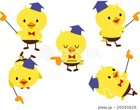 ヒヨコ教授バリエーション 20593626