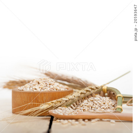 organic barley grains 20593647