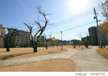 【大分駅南口】冬のシンボルロード02 20594702