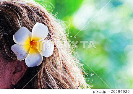 ハワイのイメージ プルメリア 花の髪飾りの写真素材 20594926 Pixta