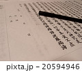 写経 20594946