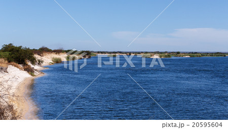 bank of the river zambezi 20595604