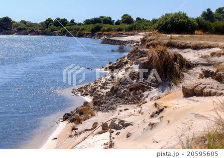 bank of the river zambezi bank of the river zambezi 20595605