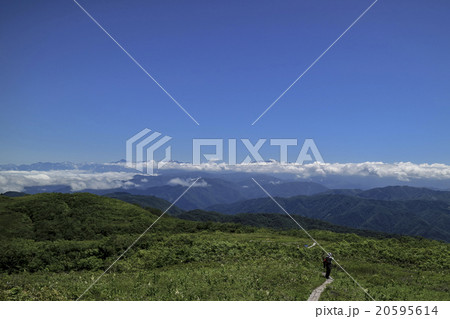 白木峰 20595614
